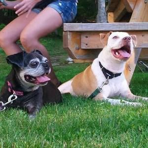 Meet your Posher, Donna